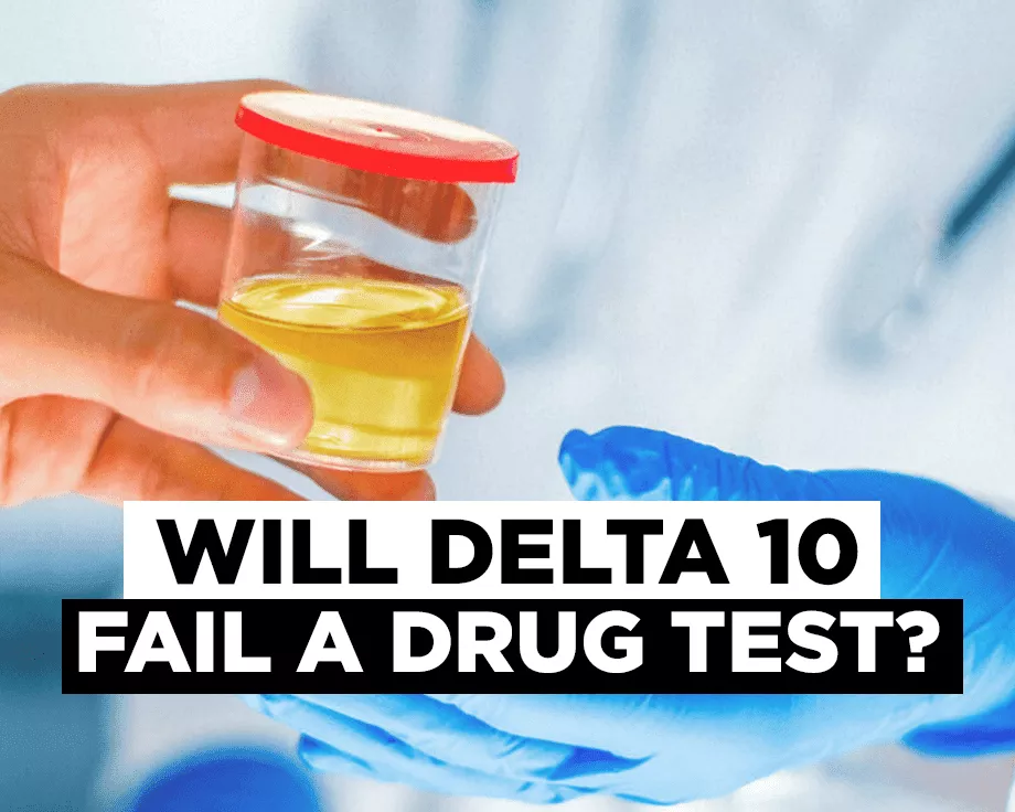 Will delta 10 fail a drug …